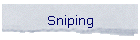 Sniping